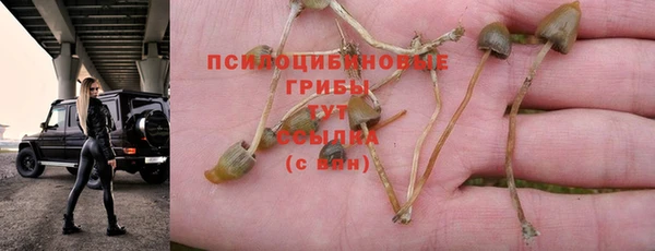 трава Кулебаки