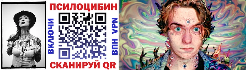 Купить закладки  Ряжск  Псилоцибиновые грибы Psilocybine cubensis 