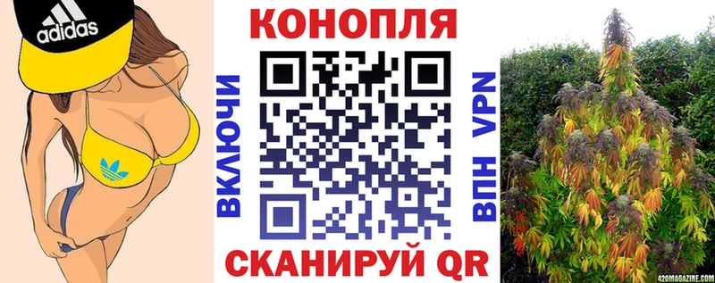 Купить где  Ряжск  Канабис тримм 